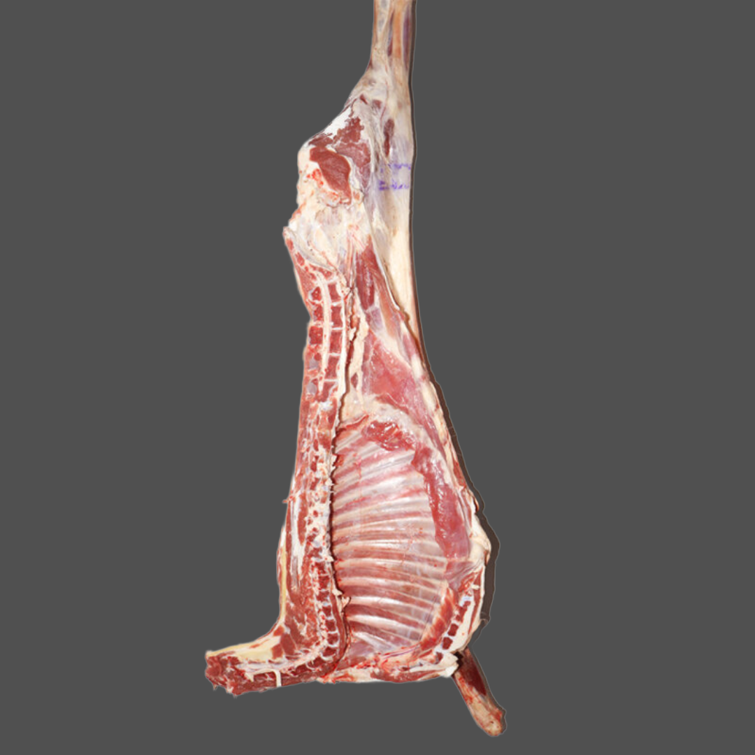 Half Lamb Avg 11kg @R149.99/kg